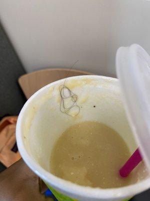 Clump of hair in my smoothie!