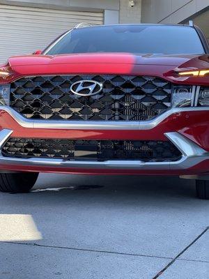 Hyundai calligraphy 2023  red on brow . In love !!!!