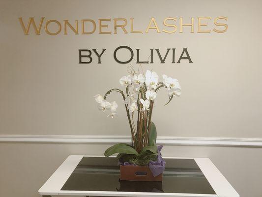 Wonderlashes by Olivia