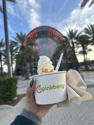 Frozen Yogurt with Toppings