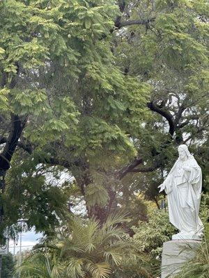 Our Lady of Mt. Lebanon - St. Peter's Cathedral