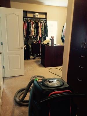 Carpet Cleaning