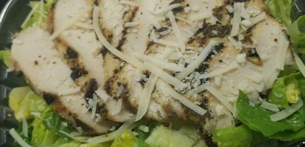 Grilled Chicken Caesar