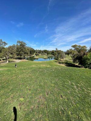 Signature hole 17 water green