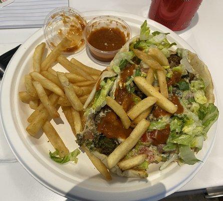 Falafel with a side of crispy, salted fries. Those are half of the fries, delicious!