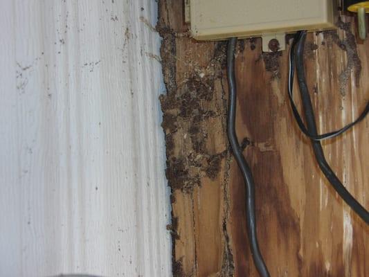 Don't let termites destroy your home. Call ABC for a free inspection or quote.