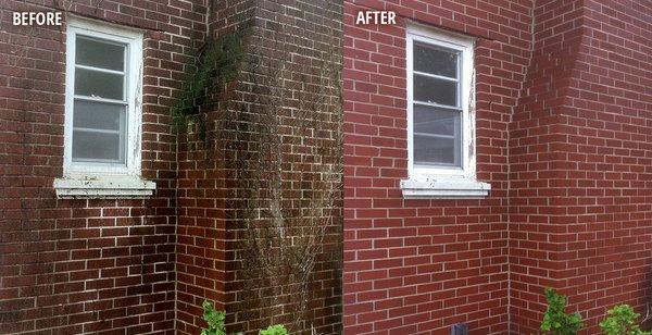 We can clean moldy brick as well.