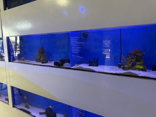 Fish tanks