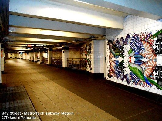 MTA - Jay Street - Metro Tech subway station. Dr. Takeshi Yamada and Seara (Coney Island sea rabbit). colorful title mural