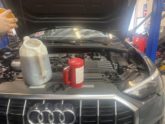 We can service your Audi