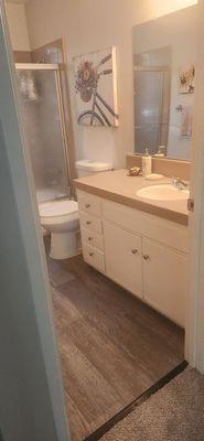 Large bathroom