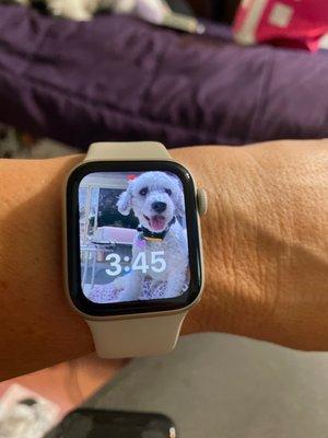 New Apple Watch.