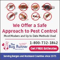 Pest Control Suffern NY