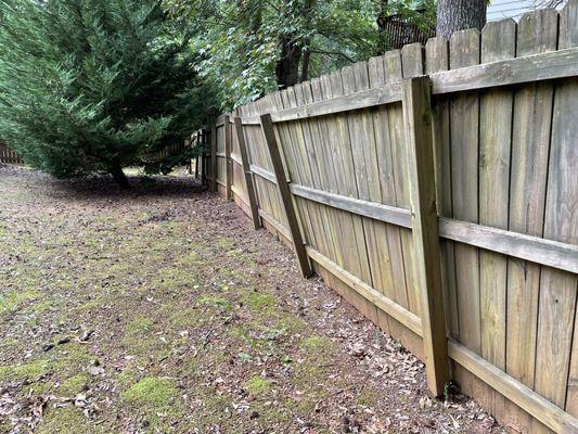 Backyard fence posts