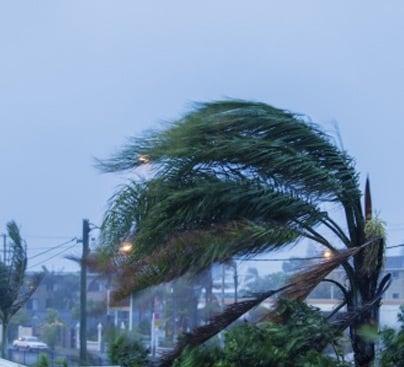 Wind Damage- Including hurricanes, tornados, tropical storms, & hail storms. During a catastrophic event insurance companies ...