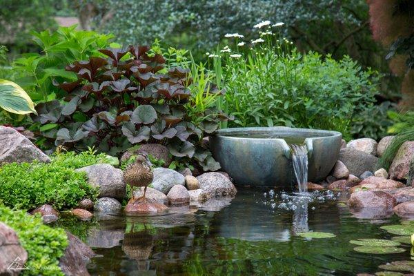 Water bowl with backyard pond