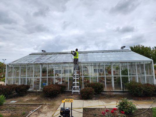 Greenhouse glass cleaning