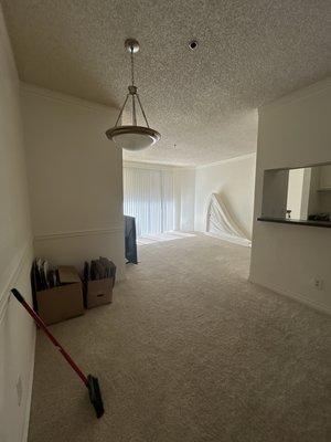 Living room and dining room