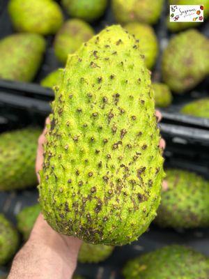 Soursop