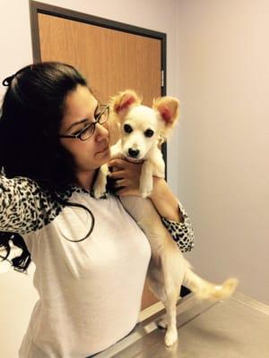 At the vets office right after her shots, nail trim, flea treatment & ear wash .