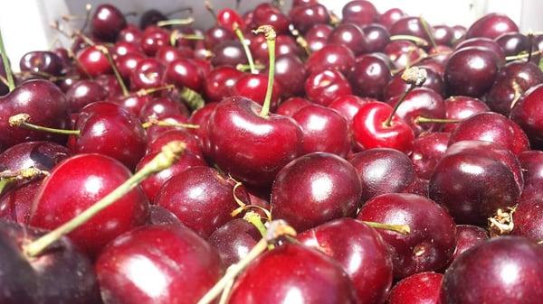 Bing cherries yummm!