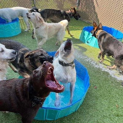 Daycare Pool Party!