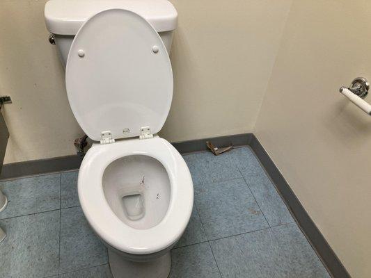 2nd Stall - once again ..no toilet paper.