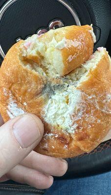 A doughnut with mold on it.