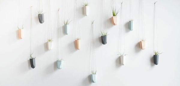 Hanging Planters