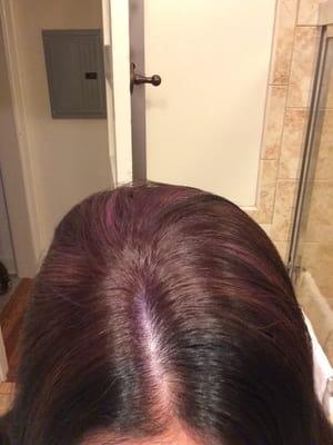 The only thing "eggplant" color is my scalp