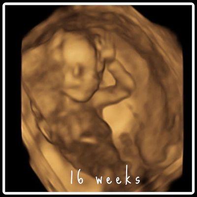 16 weeks