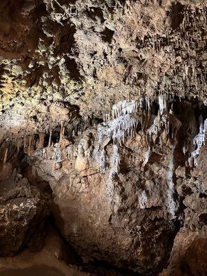 Florida Caverns State Park