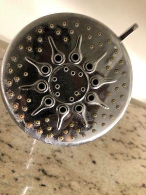 The shower head in the bathtub