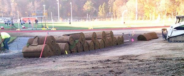 Yard Preparation, Dom Chiola Landscaping Corp. in Fairview, NJ