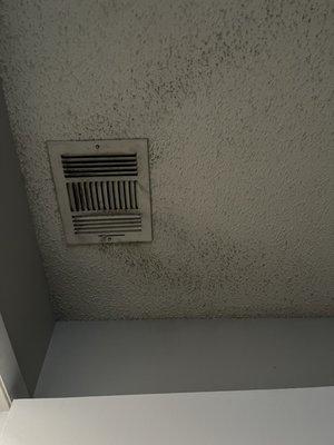 Burnt marks coming from vent; potential mold