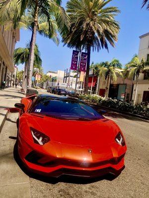 Lambo at Gucci  on Rodeo Dr