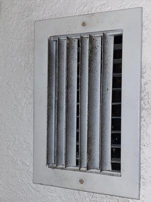 another vent with mold