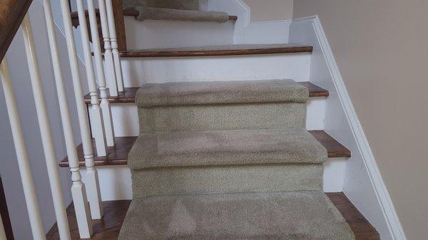 After Carpet Cleaning