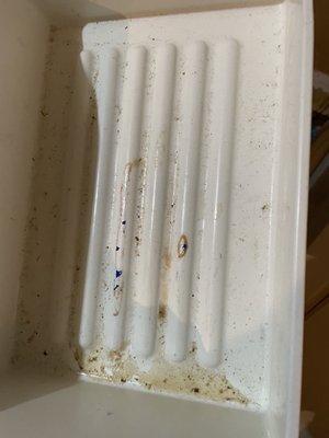 Dirty freezer tray