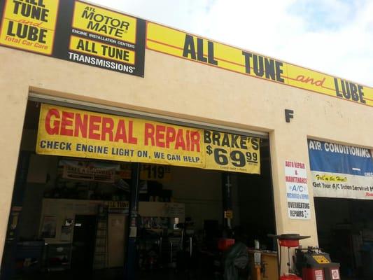 All Tune & Lube