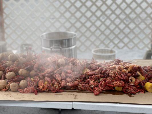 So much amazing crawfish.