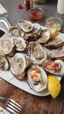 Oysters