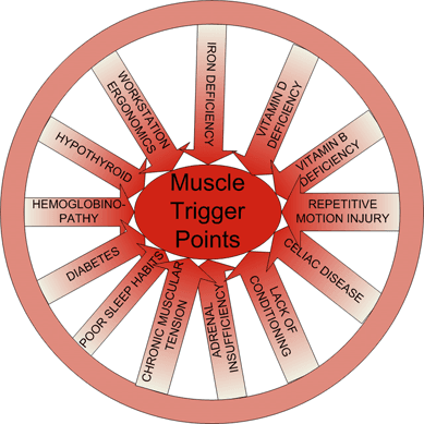 Many Factors Can Lead To Trigger Point Formation and Pain