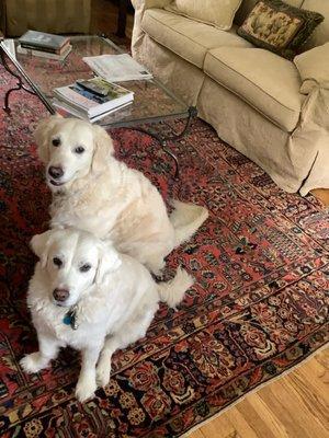 Mary and Rose on the new rug