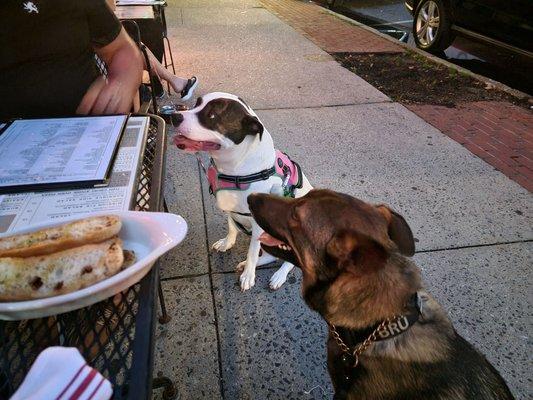 Brü Meeting new friends!