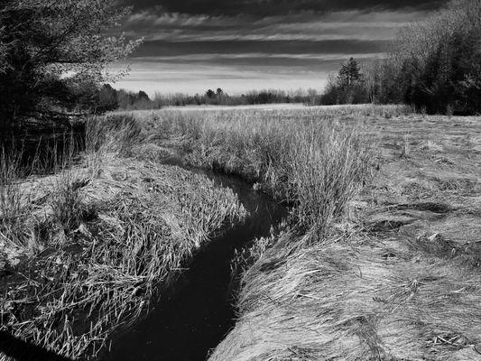 Newbury Marsh