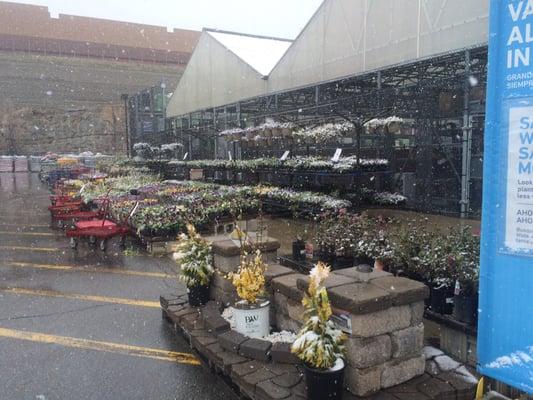 Snowing in it side garden center.