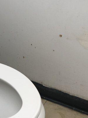 Poop on the wall