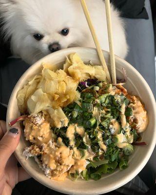 Urban Salad bowl with spicy salmon, crab meat, extra ginger.