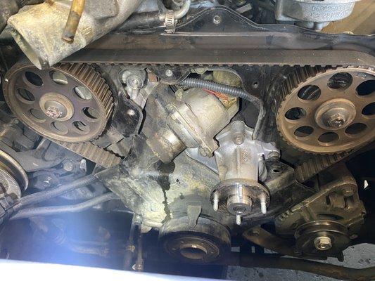 Timing belt job on a Datsun